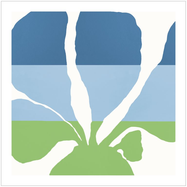 Venus Comb - Blue / Green