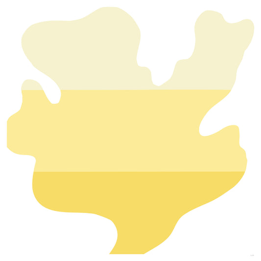 Cockle Shell - Yellow